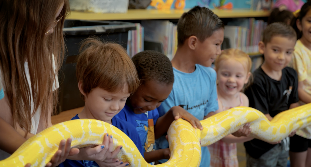 Seven children of different ages, genders, and ethnicities line up in front of some bookshelves to help hold a long, yellow and white snake. The snake's head and tail are not in the frame.