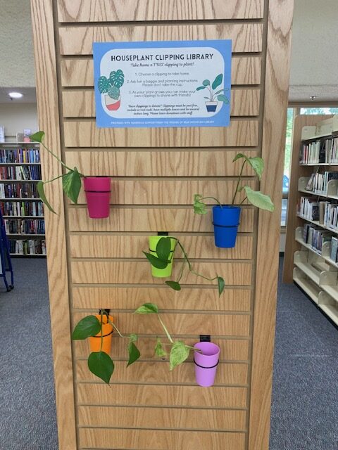 Five colorful plastic cups are mounted to a wooden endcap on a row of shelves at the Bear Mountain Library. Each has a houseplant clipping in it, most of which appear to be pothos. There is a sign on the endcap that explains how the clipping library works.